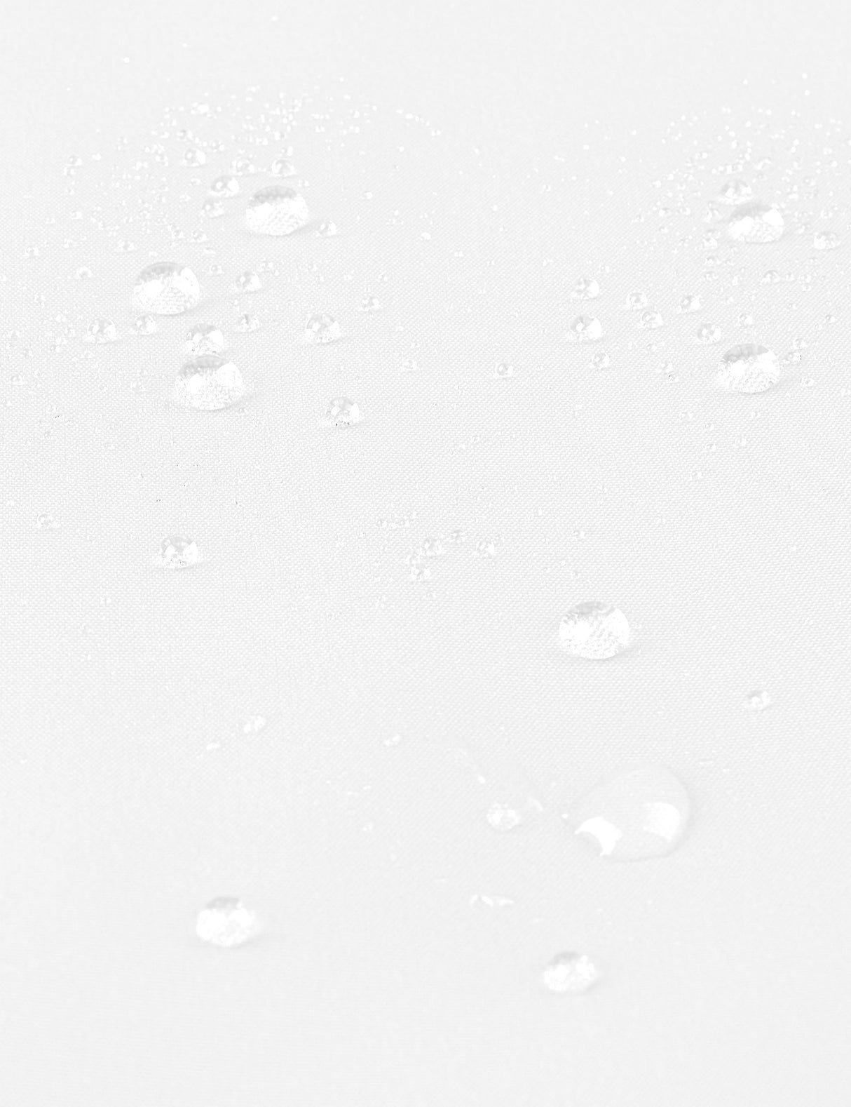 WALTER detail