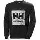 Sweatshirt "GRAPHIC" - Helly Hansen® - workXperts