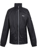 Bekleidung Regatta Lyle IV - workXperts