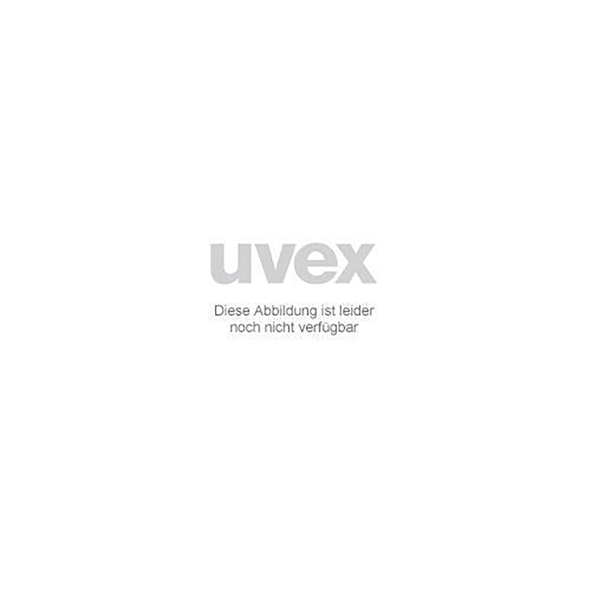 Ersatzscheibe 9723017 unbeschichtet